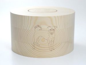 Sennenhund