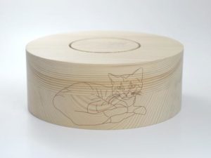 Katze