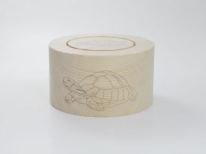 Schildkröte