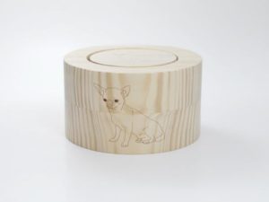 Chihuahua